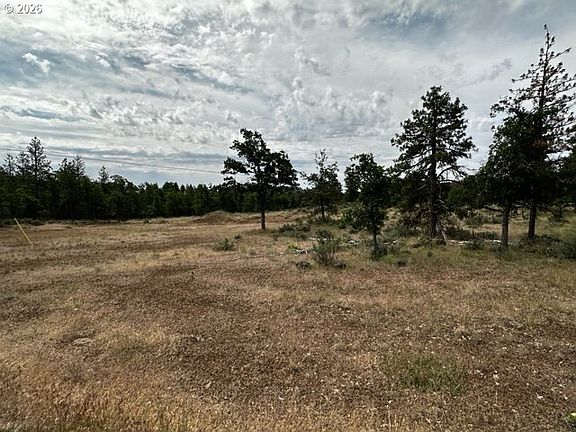 4th image of 71 Teal Dr