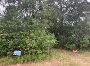25163 Lakeside Dr, Hockley, TX 77447