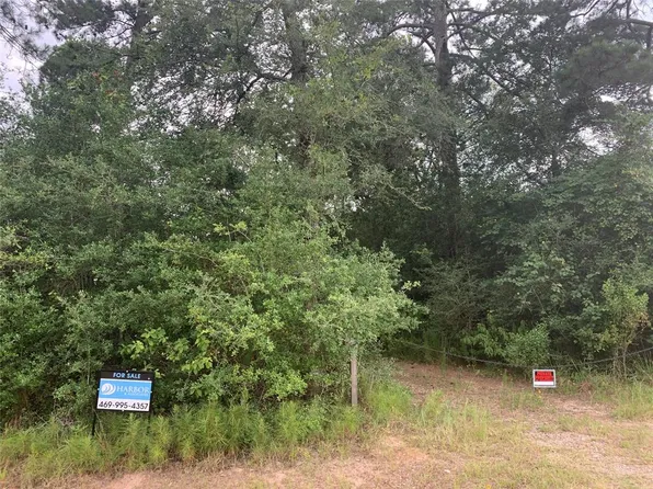 25163 Lakeside Dr, Hockley, TX 77447