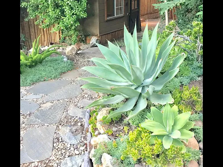 4201 Woodland Dr — Photo 23