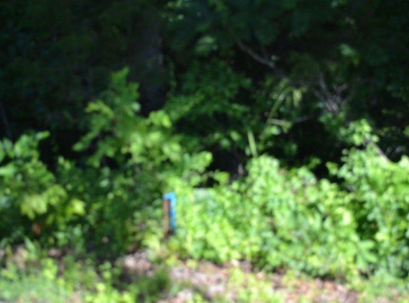 2nd image of 275AC Beauchamp Rd