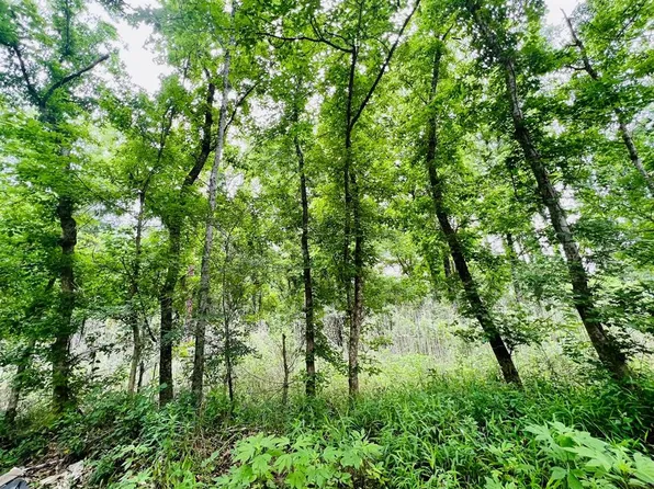 TBD Mill Creek Dr Drive, Plantersville, TX 77363