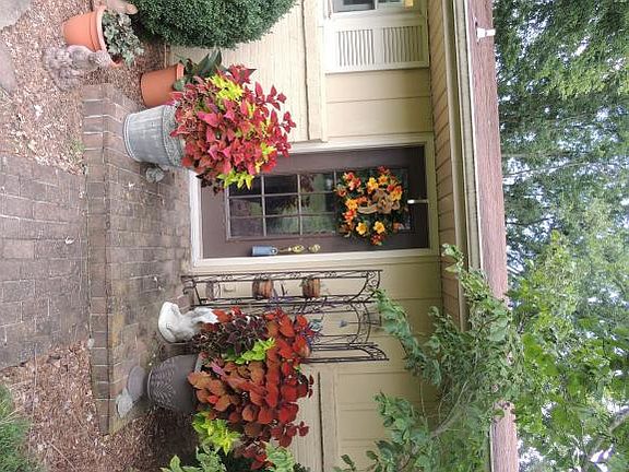 5th image of 203 Fairford Ln