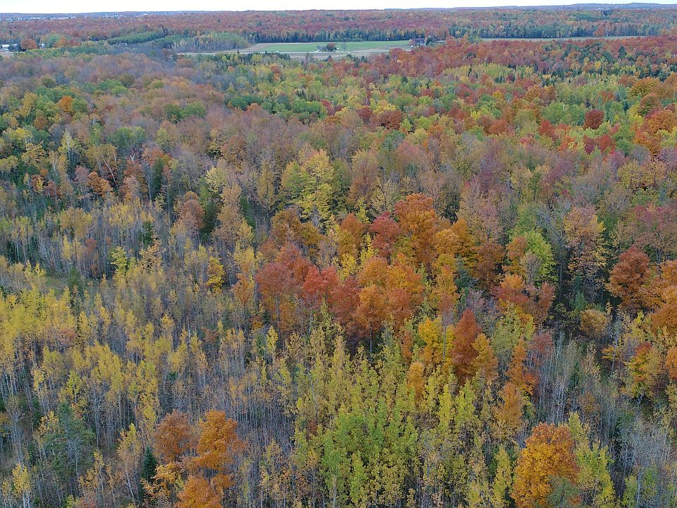 aerial view in October 