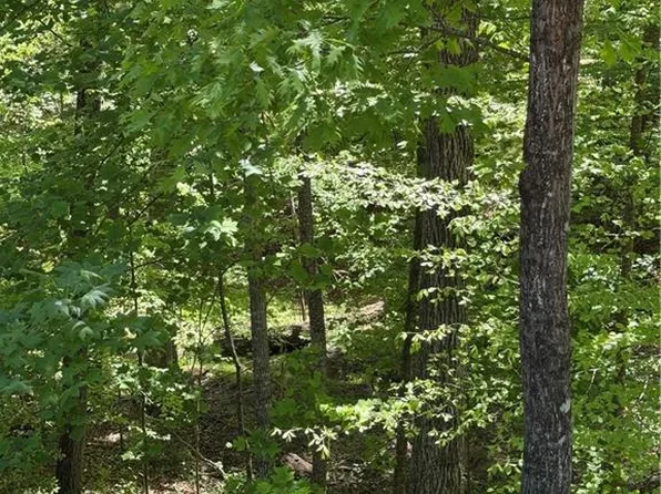 0 Clark Dr, Alpharetta, GA 30004