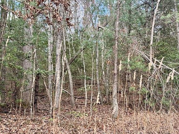 3rd image of 9 Timberline Rd