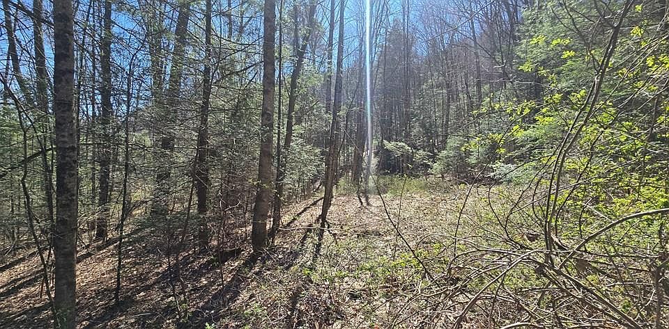 1st image of 125 Redbud Ln