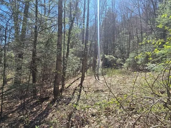 125 Redbud Ln, Daniels, WV 25832