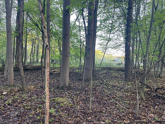 2nd image of 1319 Lake Michigan Dr NW Parcel 11