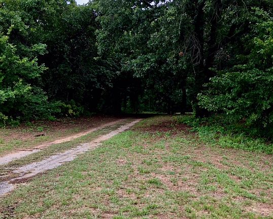 Beautiful Treed Entry