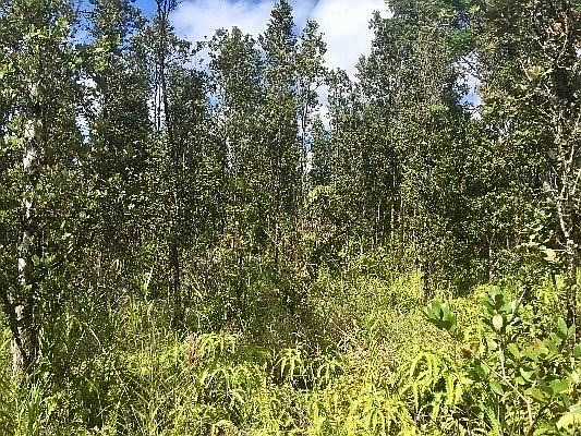 5th image of Road 9 Koloa Maoli Lot 5455
