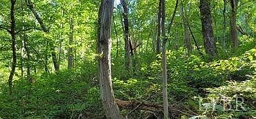 1st image of 0 Mountain Top Dr Lot 22