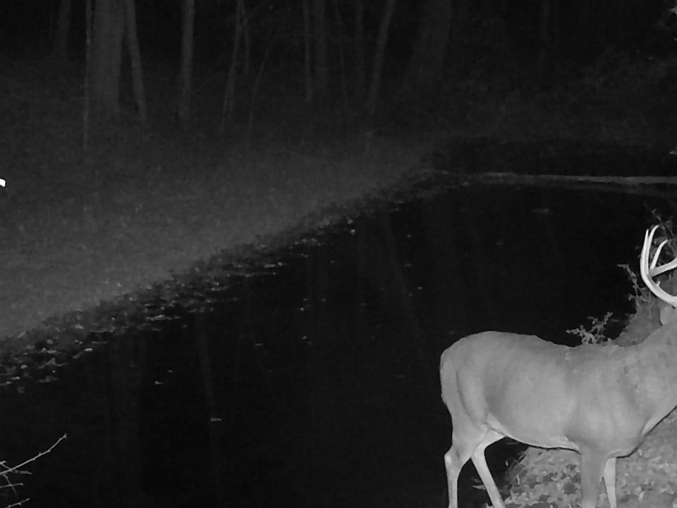 1st image of Koecke Ln