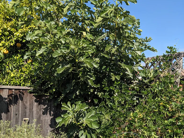 1941 Oro Dr — Photo 25