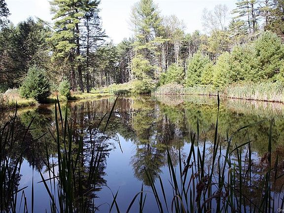 2nd image of 552 County Road 116