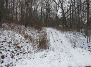 0 S Old Bald Hill Rd #39, Springwater, NY 14560