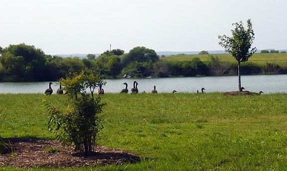 4th image of 24 Blue Heron Boulevard LOT 24