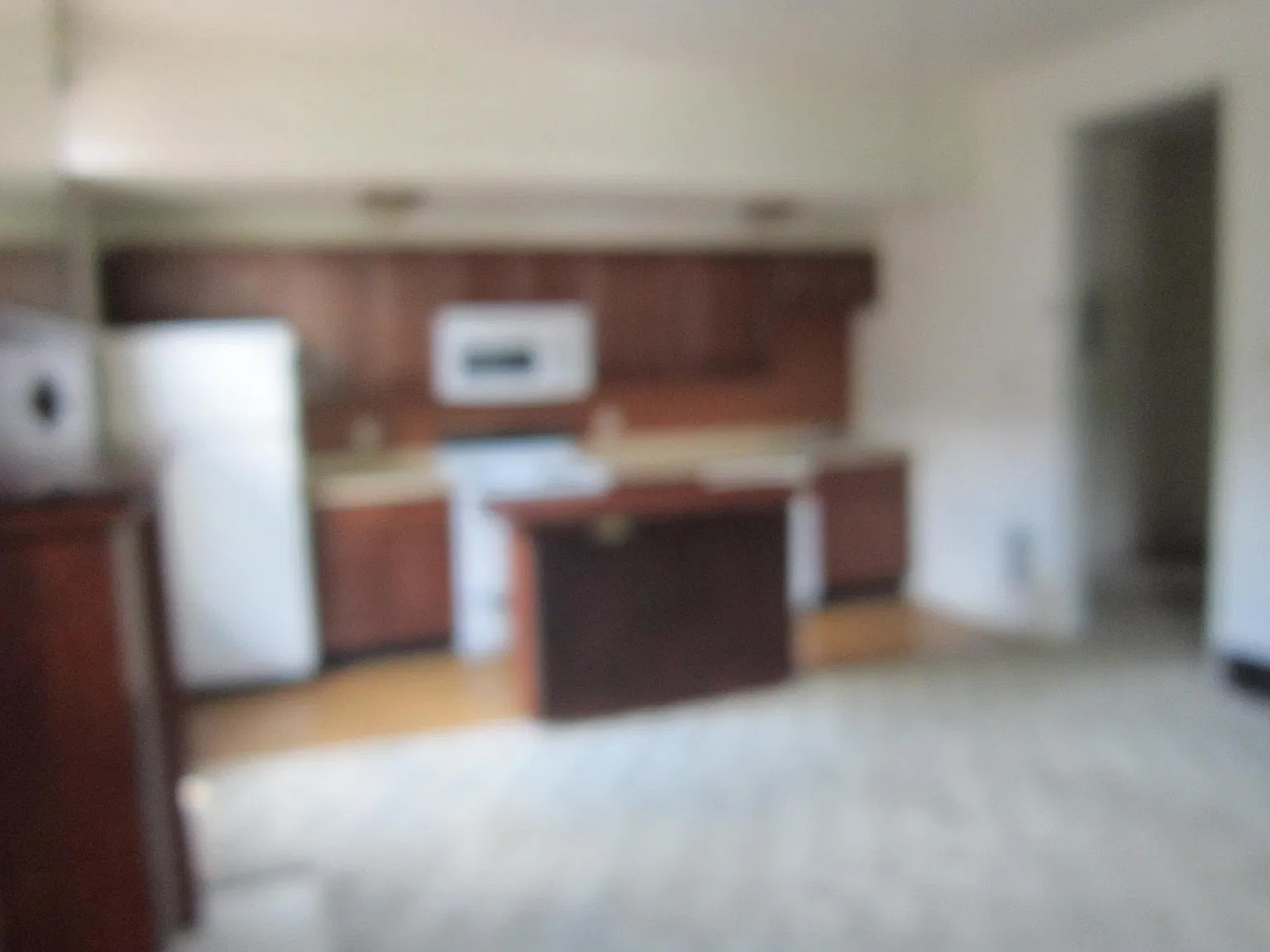 1 bed, 1200 sqft, $1,300 — Photo 3