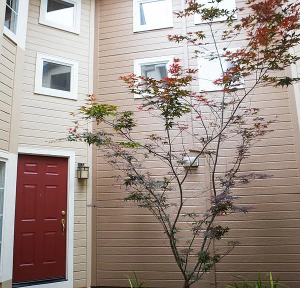 2527 Baywood Way — Photo 2