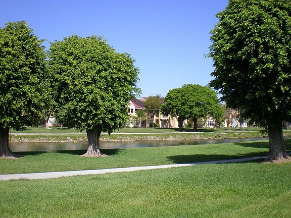 Lake and Park