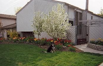 1st image of 763 Campus Dr