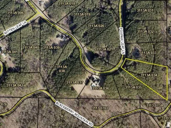 0 Fox Paw Leaf Ln #34, Ellijay, GA 30536