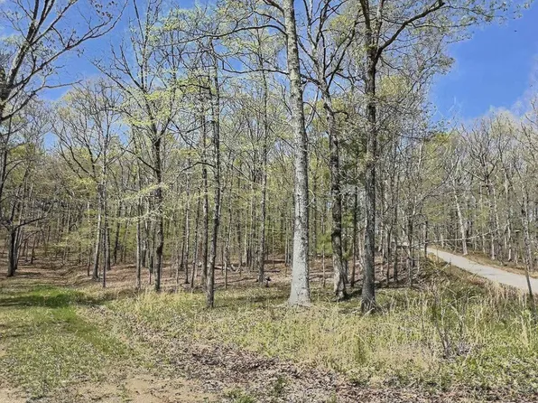 0 Parish Dr, New Concord, KY 42076