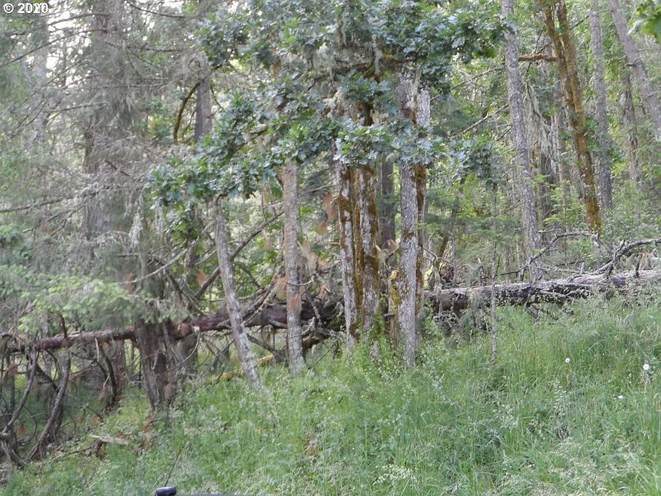 1st image of 150 Deer Valley Dr