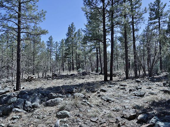 4th image of 1030 W Big Springs Trl