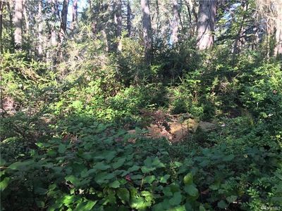 10422 Olympic Pl, Anderson Island, WA, 98303