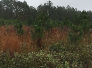 10705 SW 107th Loop, Lake Butler, FL 32054