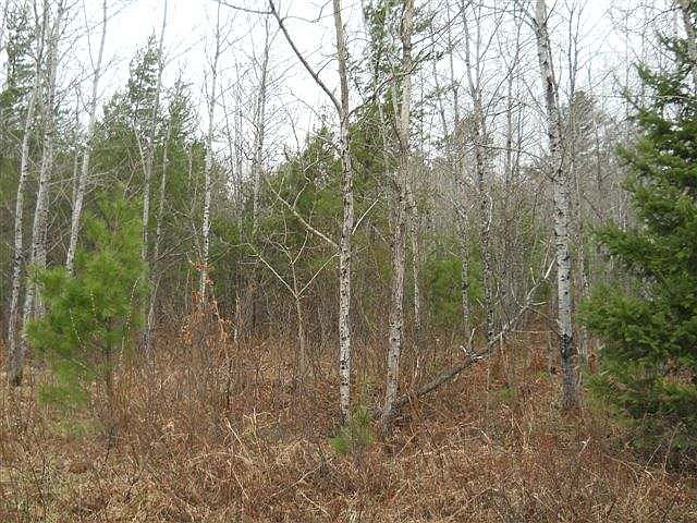 1st image of LOT 11 Laura Lake Road E Plum Lk Lot 11