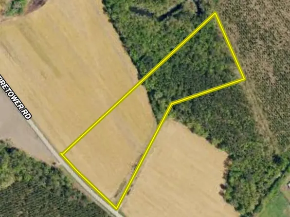 Fire Tower Rd Lot Wp002, Blenheim, SC 29516