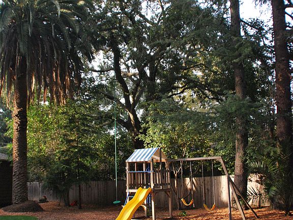 Play Area in backyard