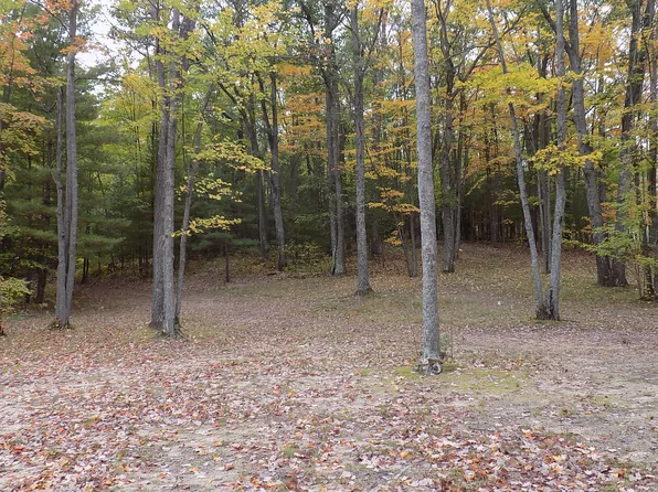 Sorensen Rd, Hillman, MI 49746