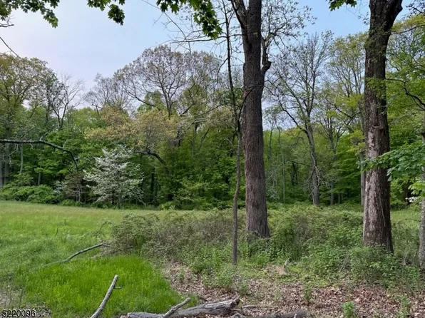 85-2 Mountaintop Rd, Bernardsville Boro, NJ 07924