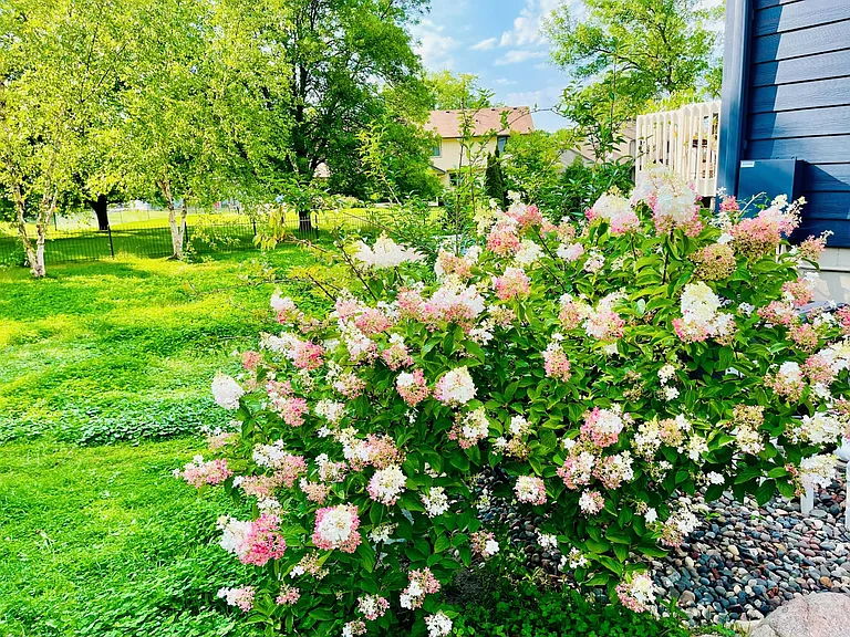 Beautiful Backyard View