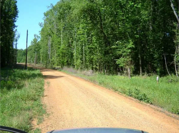 250 Teal Ln, Savannah, TN 38372