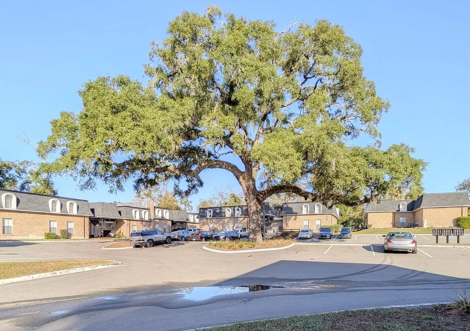 Grand Oaks Apartment — Photo 1