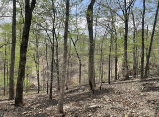 000 St. Hwy N Tract D, Ava, MO 65608