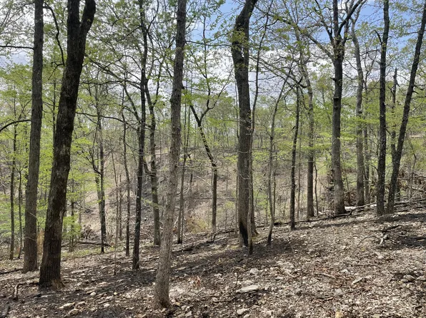 000 St. Hwy N Tract D, Ava, MO 65608