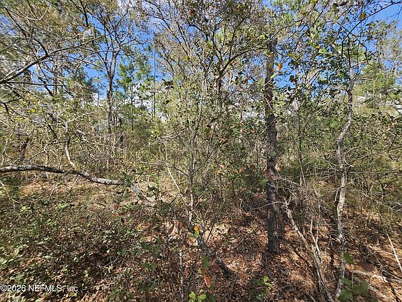 5th image of 416 MOURNING DOVE Road