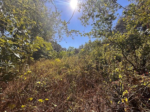 3rd image of 11119 Bessie Dix Rd