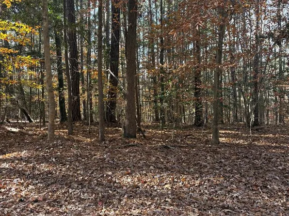 11 Saint Tammany Dr, Bracey, VA 23919