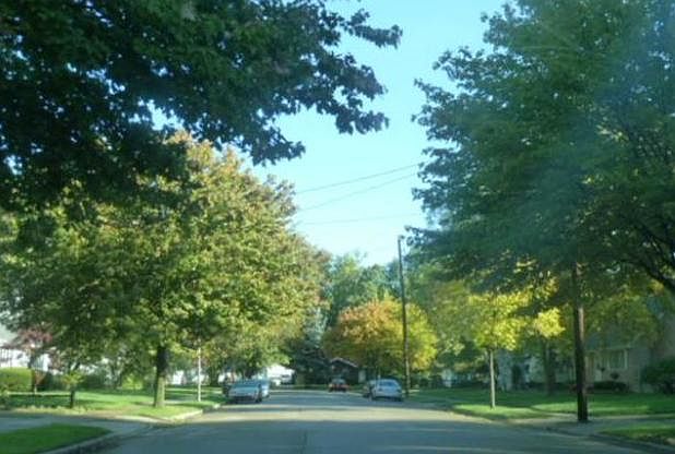 2nd image of 3123 Lawdor Rd