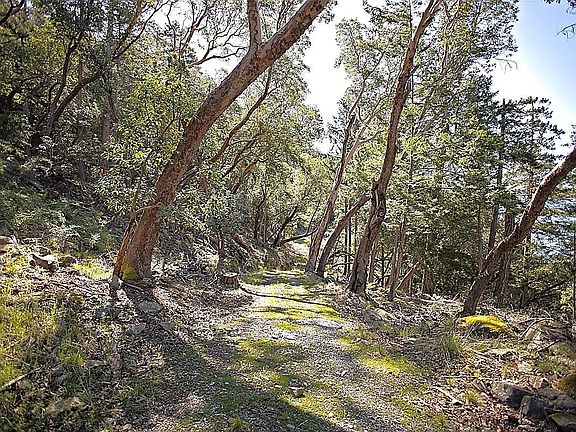 4th image of 206 Narrows West Rd