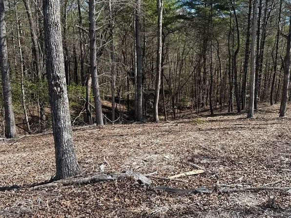 188 The Blf, Morganton, GA 30560