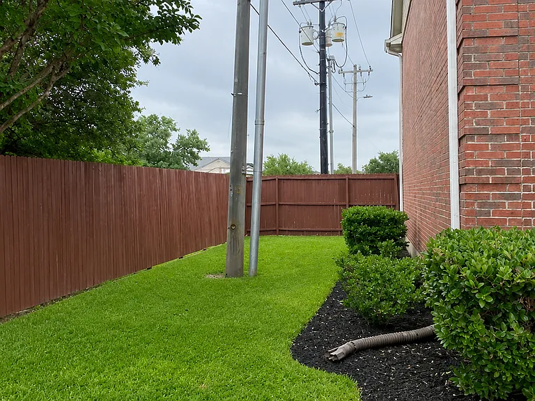 Side Yard