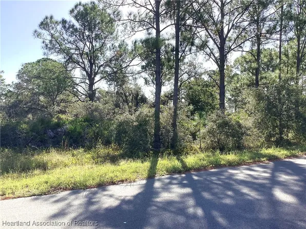 118 Wildcat St NW, Lake Placid, FL 33852