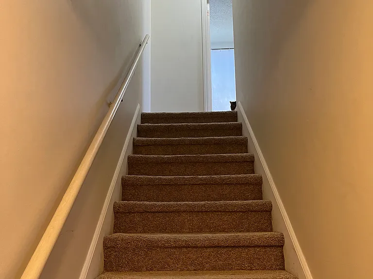 1303 Giles Rd #B — Photo 18